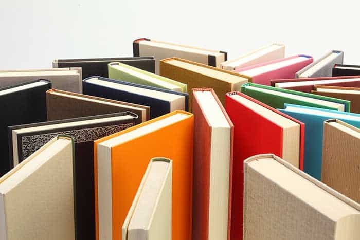 land surveying expert witness published authority