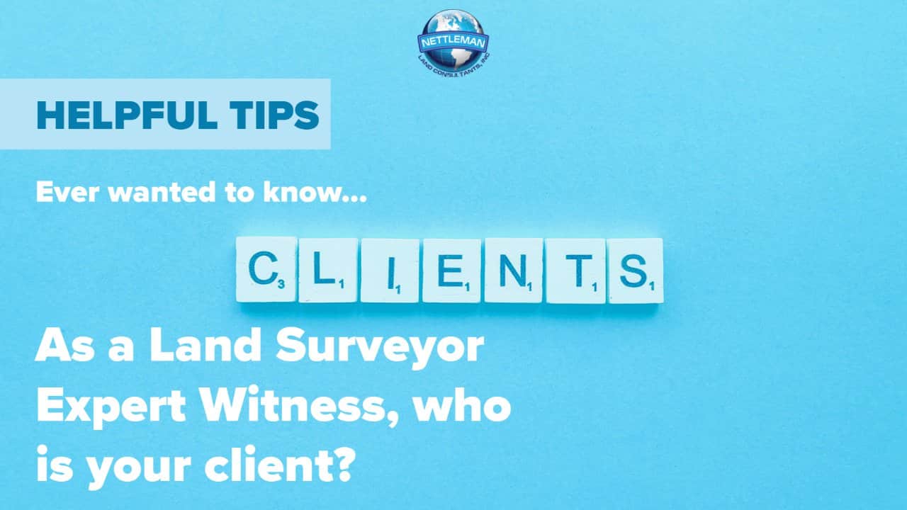 As an Expert Witness, who is your client?