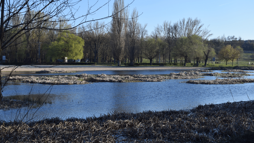 The Difference Between Littoral and Riparian Rights